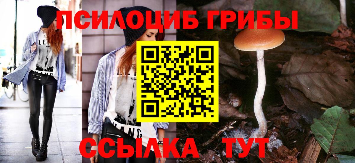 Новотроицк  Галлюциногенные грибы MAGIC MUSHROOMS  Вход с VPN 