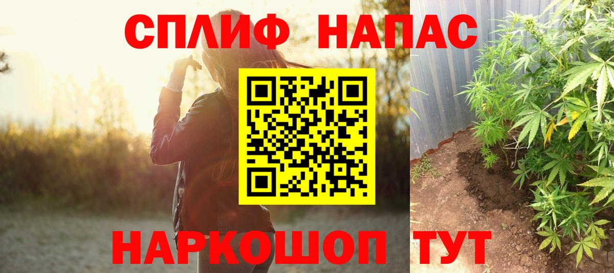 Бошки Шишки семена  Конопля семена  Новотроицк  Конопля сатива  Вход с VPN 